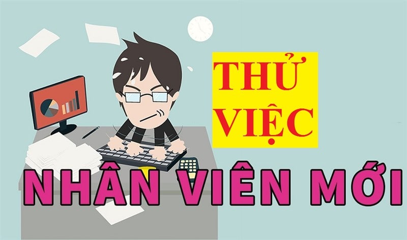 Phân biệt các loại hợp đồng